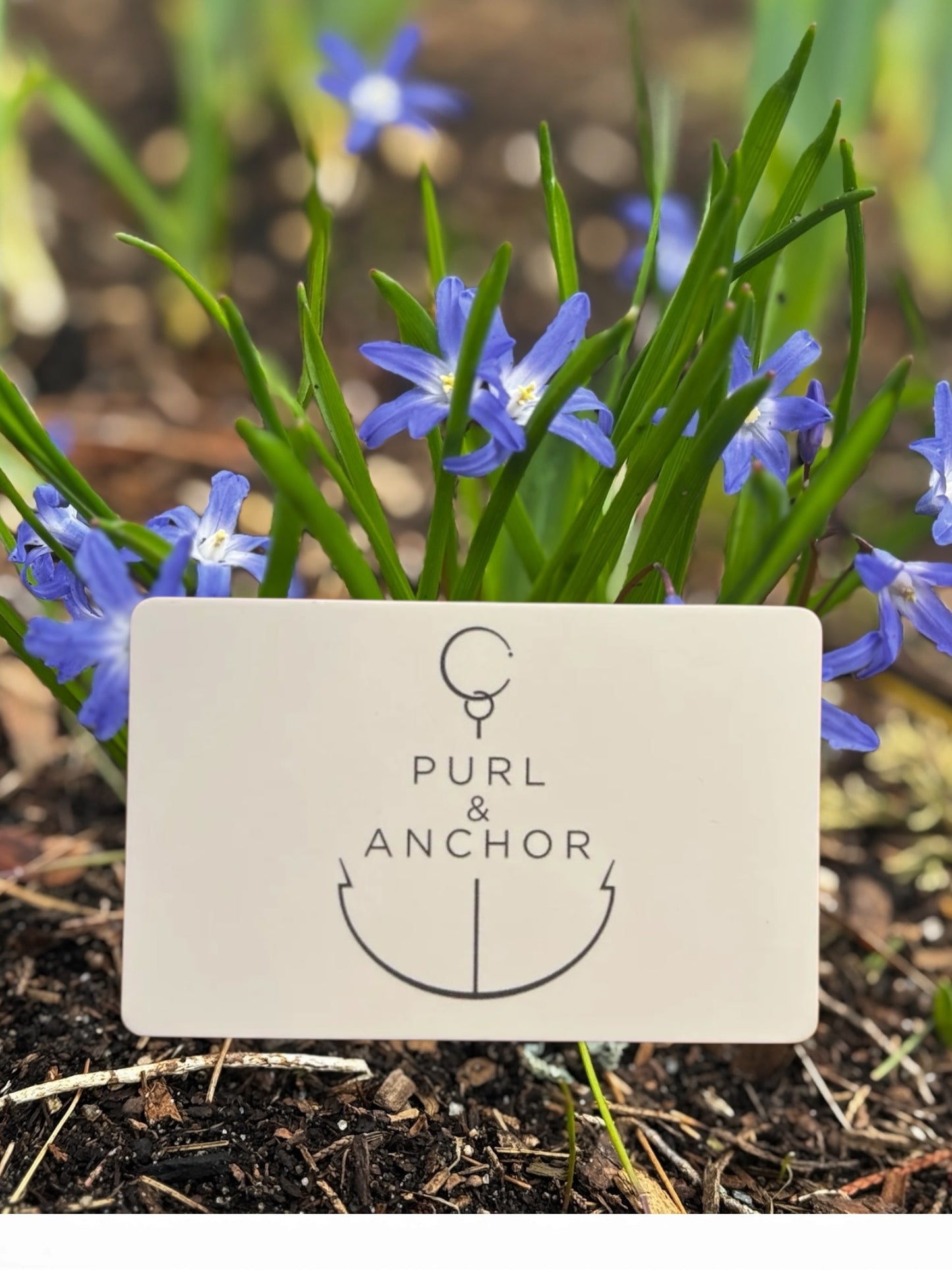 Purl & Anchor Gift Card